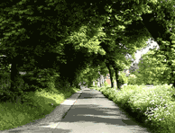 albstedt